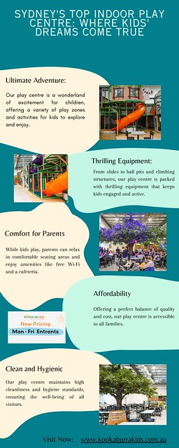Indoor Play Structure: Creating an Adventurous Playground