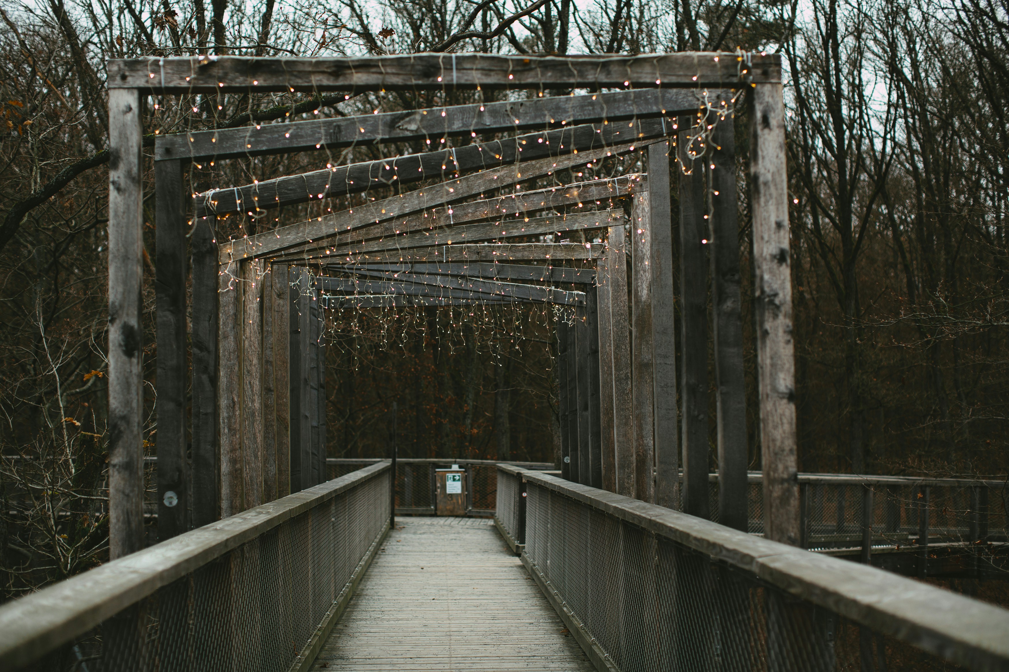 Outdoor pergola