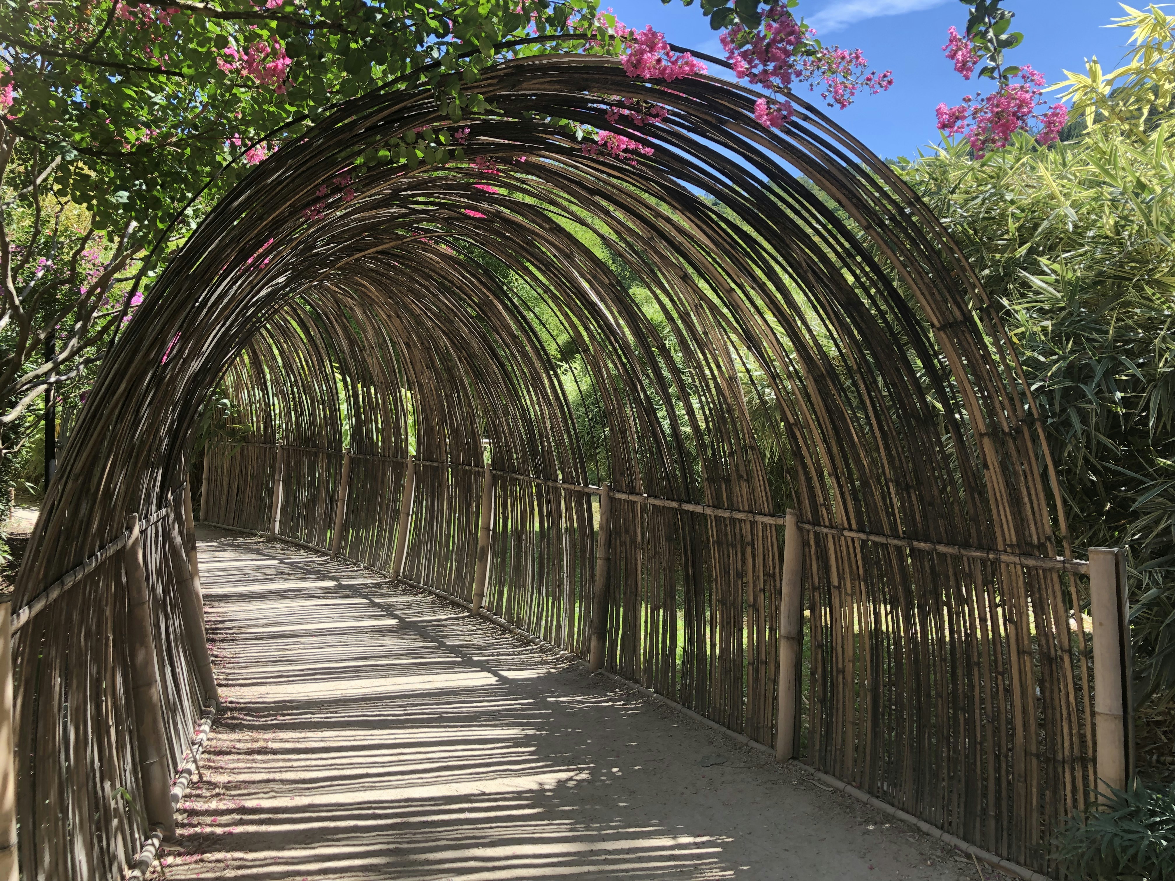 Outdoor pergola